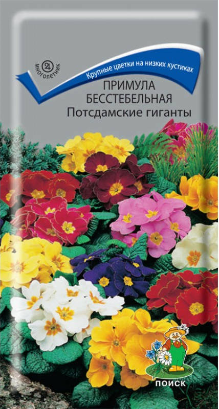 Примула бесстебельная Потсдамские гиганты (0,05 г) /Поиск/