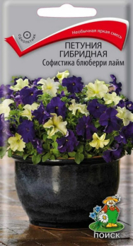 Петуния гибридная Софистика блюберри лайм /Поиск/