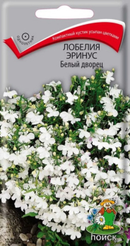 Лобелия эринус Белый дворец /Поиск/