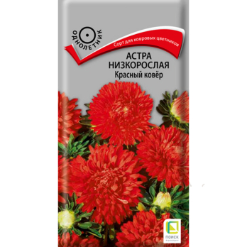 Астра низкорослая Красный ковёр (0,2 г) /Поиск/