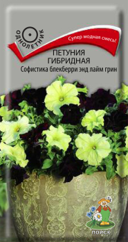 Петуния гибридная Софистика блекберри энд лайм грин (5 шт) /Поиск/