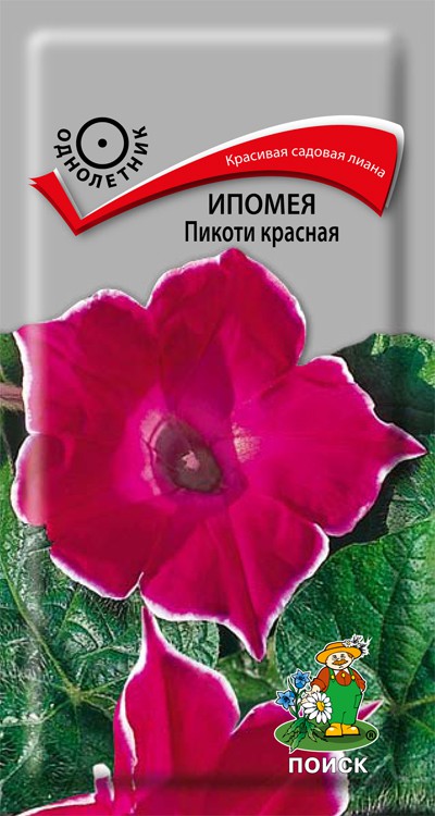 Ипомея Пикоти красная (0,3 г) /Поиск/