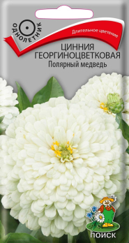 Цинния георгиноцветковая Полярный медведь (0,4 г) /Поиск/