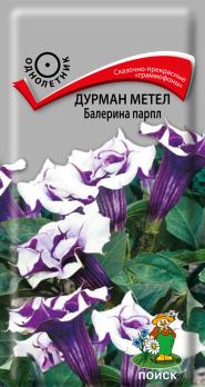 Дурман метел Балерина парпл (3 шт) /Поиск/