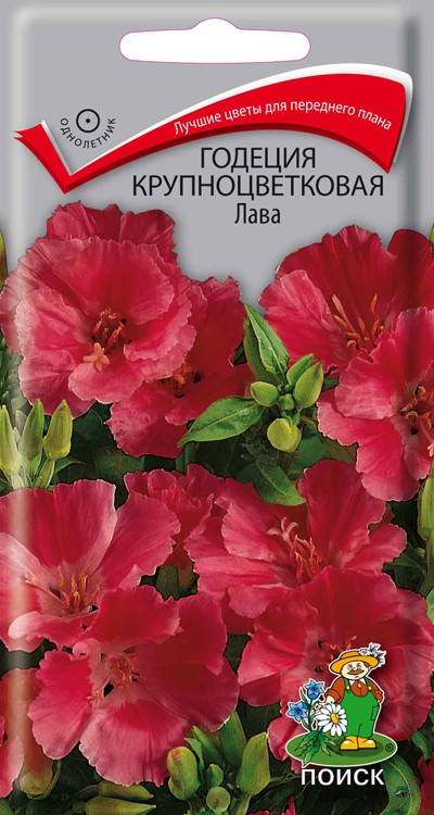 Годеция крупноцветковая Лава (0,2 г) /Поиск/