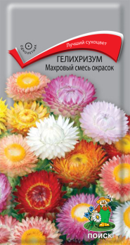 Гелихризум Махровый смесь окрасок /Поиск/