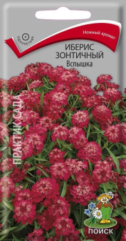 Иберис зонтичный Вспышка (0,3 г) /Поиск/