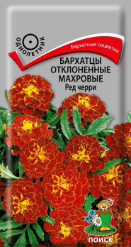 Бархатцы отклоненные махровые Ред черри (0,3 г) /Поиск/