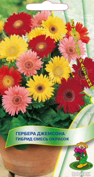 Гербера Джемсона Гибрид смесь окрасок (10 шт) /Поиск/