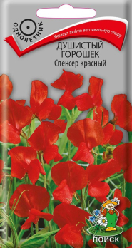 Душистый горошек Спенсер красный (1 мг) /Поиск/
