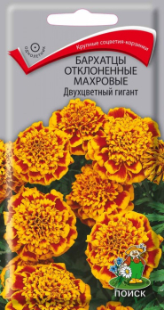Бархатцы отклоненные махровые Двухцветный гигант (0,4 г) /Поиск/