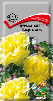 Дурман метел Балерина еллоу (3 шт) /Поиск/