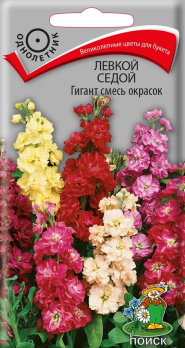 Левкой седой Гигант смесь окрасок /Поиск/