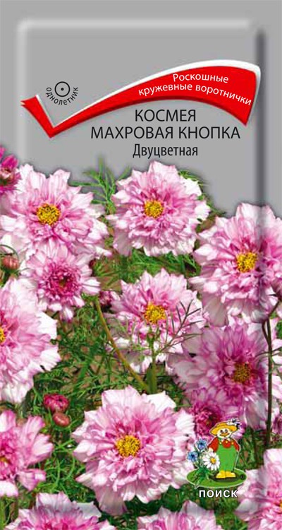 Космея Махровая кнопка Двуцветная (0,1 г) /Поиск/