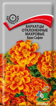 Бархатцы отклоненные махровые Квин София (0,4 г) /Поиск/
