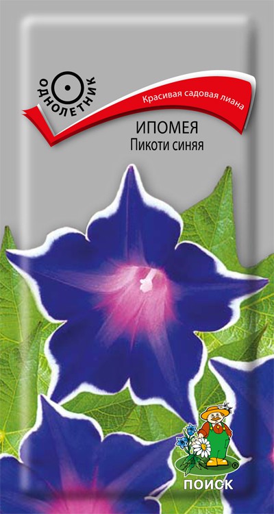 Ипомея Пикоти синяя (0,3 г) /Поиск/