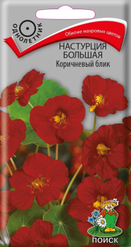 Настурция большая Коричневый блик (1 г) /Поиск/