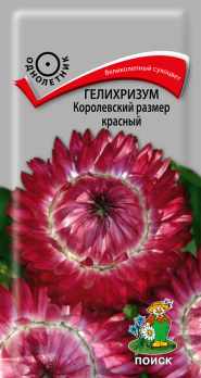 Гелихризум Королевский размер красный (0,1 г) /Поиск/