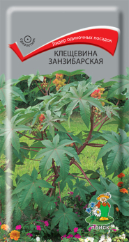 Клещевина занзибарская /Поиск/