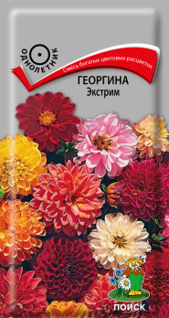 Георгина Экстрим (0,2 г) /Поиск/