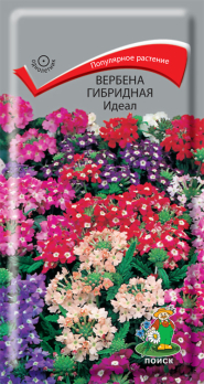 Вербена гибридная Идеал (0,2 г) /Поиск/