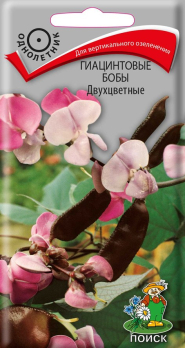 Гиацинтовые бобы Двухцветные (1 г) /Поиск/