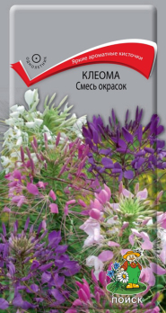 Клеома Смесь окрасок (1г) /Поиск/