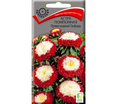 Астра помпонная Превосходный Гасфорд (0,3 г) /Поиск/