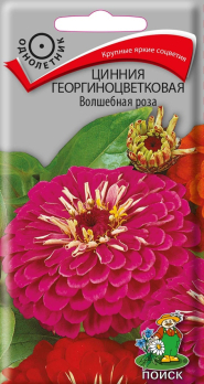 Цинния георгиноцветковая Волшебная роза (0,4г) /Поиск/