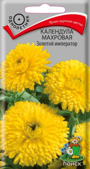 Календула махровая Золотой император (1 г) /Поиск/