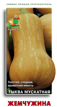 Тыква Жемчужина /Поиск/