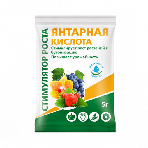 Янтарная кислота 4г /БиоМастер/(150)