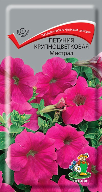 Петуния крупноцветковая Мистрал /Поиск/