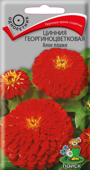 Цинния георгиноцветковая Алое пламя (0,4 г) /Поиск/