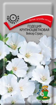 Годеция крупноцветковая Вейсер страус (0,2 г) /Поиск/