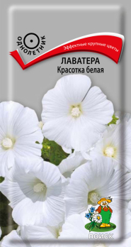 Лаватера Красотка Белая (0,3 г) /Поиск/