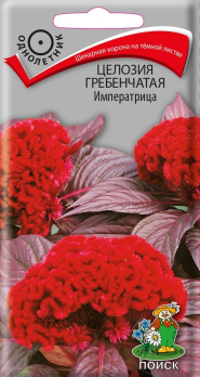 Целозия гребенчатая Императрица (30шт) /Поиск/