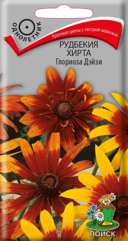 Рудбекия Хирта Глориоза Дэйзи (0,1 г) /Поиск/