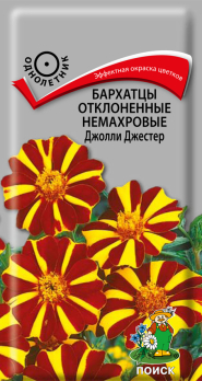 Бархатцы отклоненные немахровые Джолли Джестер (0,2 г) /Поиск/