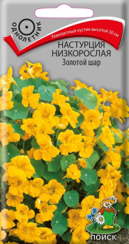 Настурция низкорослая Золотой шар (1 г) /Поиск/