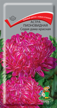 Астра пионовидная седая дама красная /Поиск/