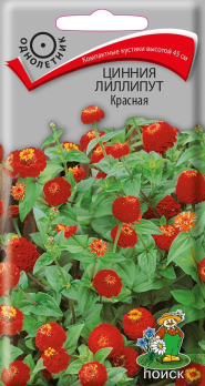 Цинния лиллипут Красная (0,4 г) /Поиск/