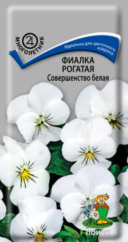 Фиалка рогатая Совершенство белая /Поиск/