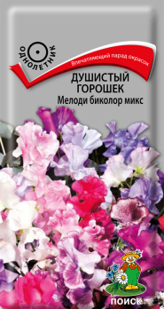 Душистый горошек Мелоди биколор микс (1 г) /Поиск/