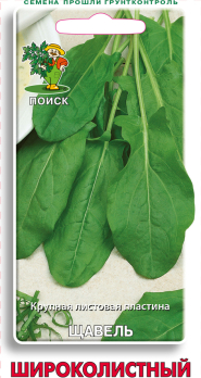 Щавель Широколистный /Поиск/