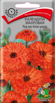 Календула махровая Ред виз блэк центр (0,4 г) /Поиск/