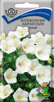 Колокольчик Карпатский Белый /Поиск/