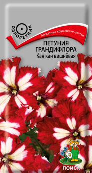 Петуния грандифлора Кан-кан вишневая (10шт) /Поиск/