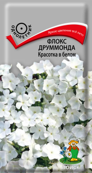 Флокс друммонда Красотка в белом (0,1 г) /Поиск/