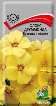 Флокс друммонда Красотка в жёлтом (0,1 г) /Поиск/
